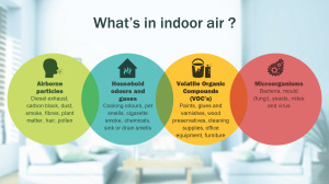 Indoor Air Quality: Can Your Building Make You Sick?