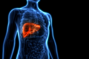 Bile Imbalance and Liver Cancer: Key Insights Revealed