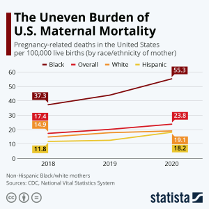 Maternal Mortality in the U.S.: Rising Concerns and Solutions